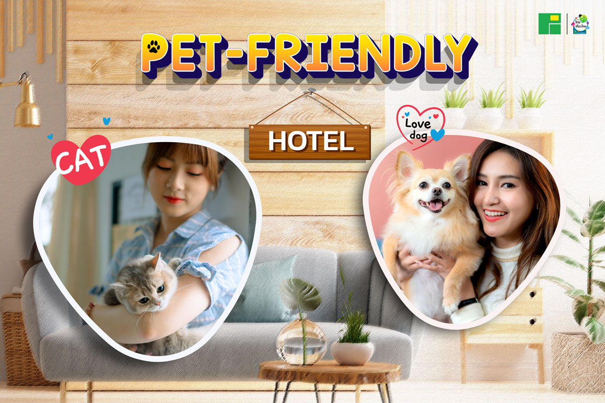 รายชื่อ Pet-friendly hotel ในงานไทยเที่ยวไทย ครั้งที่ 62